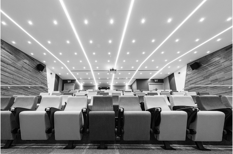 Universidad de Dundee