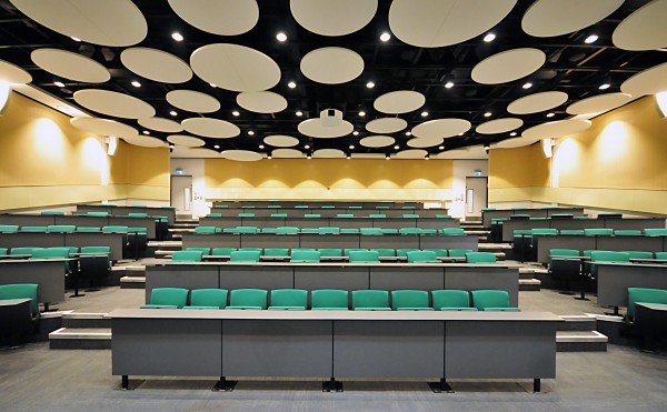 Universidad Kingston